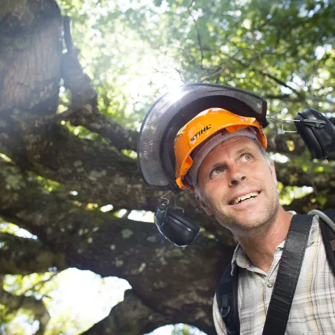Steven, wearing an orange hard hat with black hearing protection, stands under a large oak tree