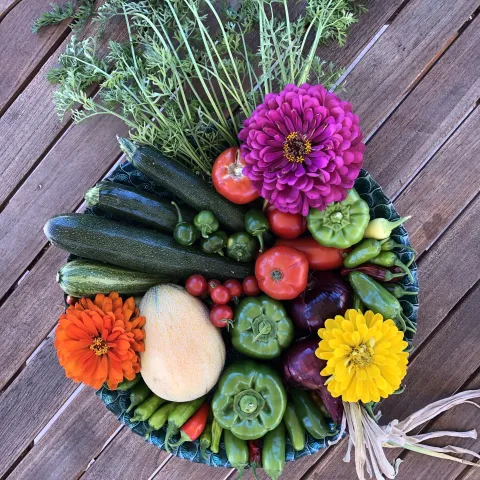Brightly colored vegetables and flowers.