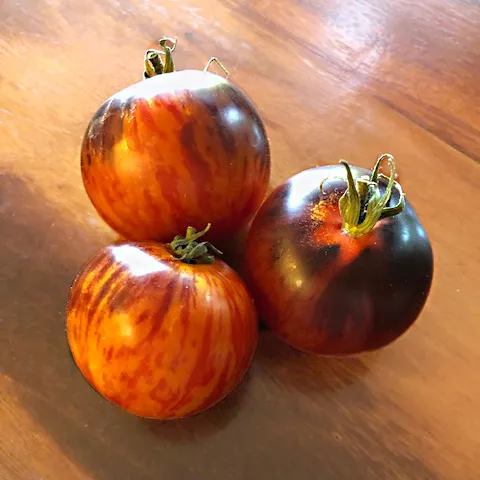 green cherry tomatoes, orange and purple tomatoes, yellow and purple tomato