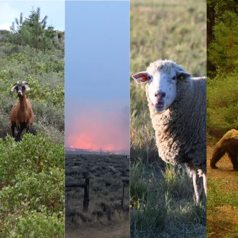 2025 Small Farms Festival cover image 