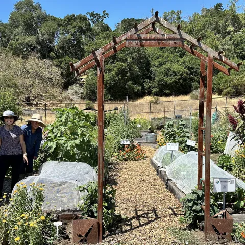 Edible Demonstration Garden in Novato, CA