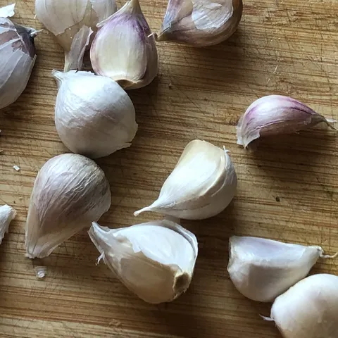 garlic
