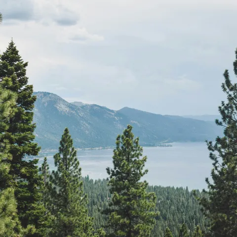 Photo Forest and Lake by Katie Musial on Unsplash