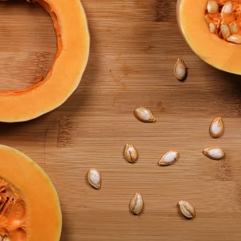 squash seeds