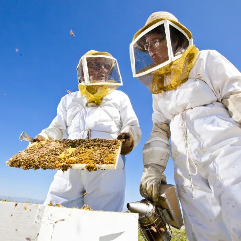 ucanr_careers_home