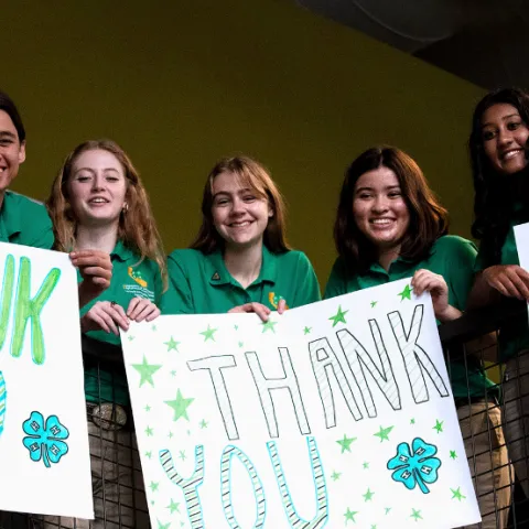 4-H Thank You