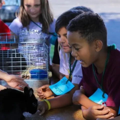 Girl showing a rabbit to a group of young children.