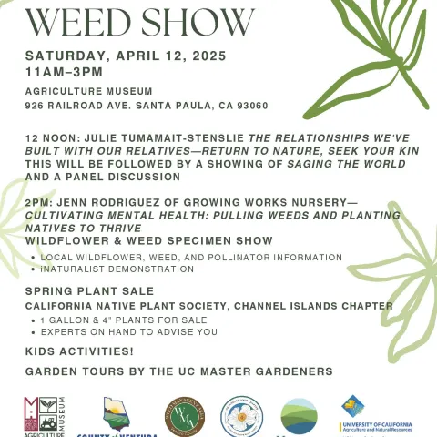 Wildflower - Weed Show Flyer 2025
