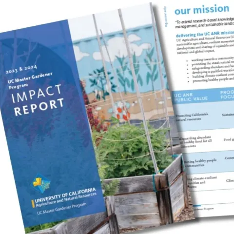 2023 2024 Impact Report