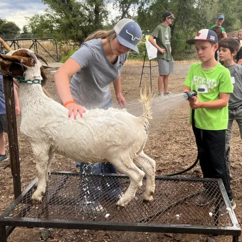 Farm Camp 2022