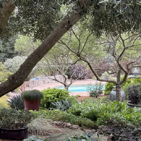 Extreme Weather Gardening in the Age of Climate Change