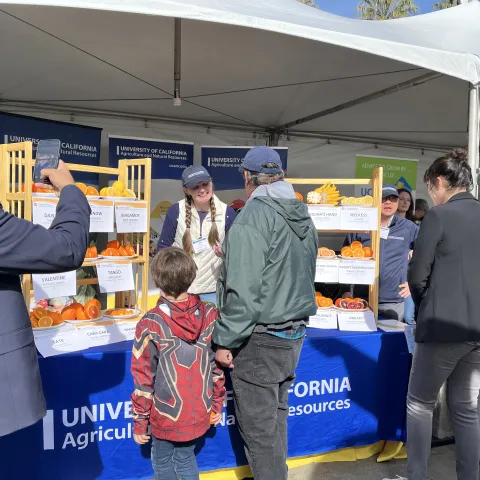 Judi, standing between shelves of citrus varieties, speaks with a man and a child while a man in a suit takes a photo.