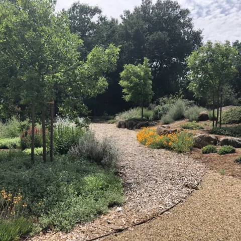 Native Plants event cover