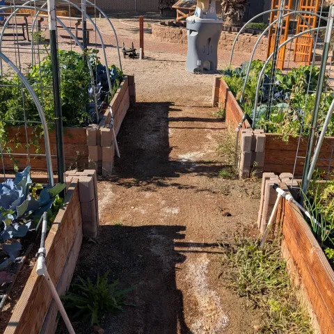 4 wooden raised gardening beds with greenery.