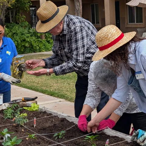 Two UCMGs and Two Senior Adults gardening in a raised bed.