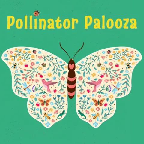 Pollinator Palooza 