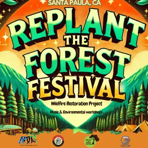 Replant the Forest 