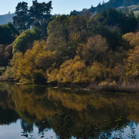 Water use in the landscape and garden conservation tips