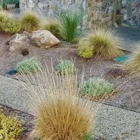 Information for wildfire preparedness of your home landscape