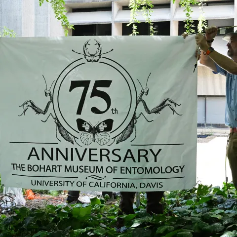 Bohart Museum 75th anniversary banner