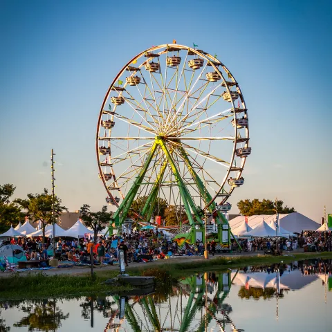 Marin County fair ferris wheel