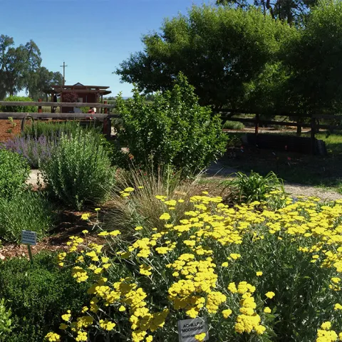 UC Master Gardners of Butte County Demonstration Garden