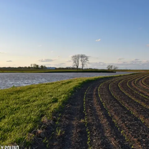 water and ag fields