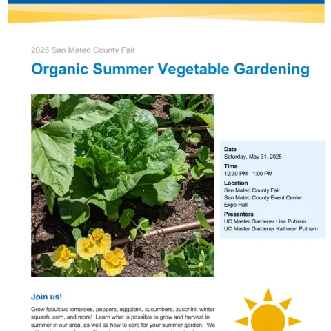 SM County Fair Flyer 5-31-25