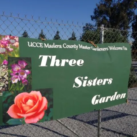 Madera Master Gardeners Three Sister Garden 