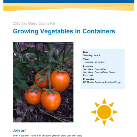 SM County Fair Flyer 6-7-25