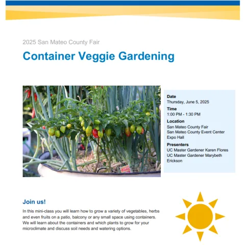 SM County Fair Flyer 6-5-25