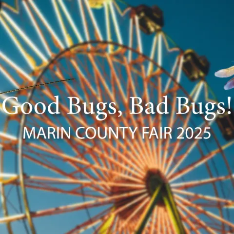 Banner county Fair 2025