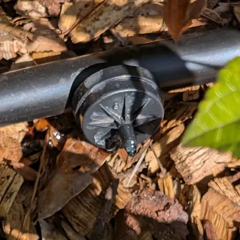 How to manage your home garden drip system