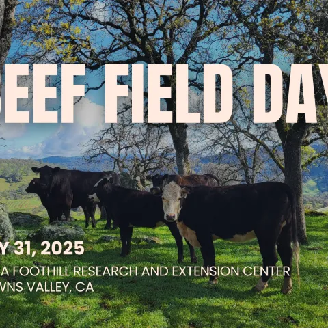 BEEF FIELD DAY 2025