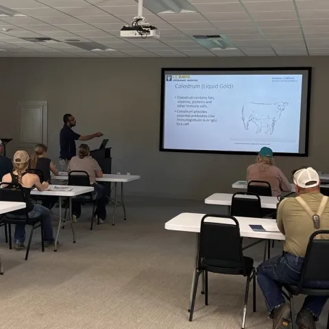 a classroom with people