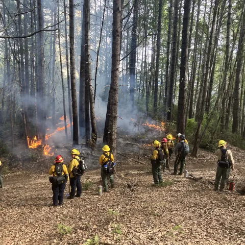Prescribed burn association members participating in a training.
