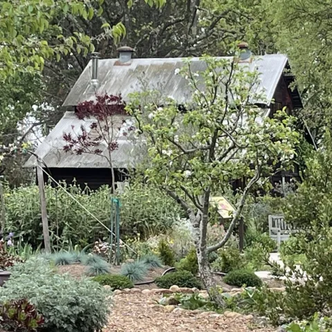 Projects of the UC Master Gardeners of Sonoma County