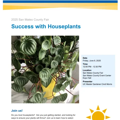 SM County Fair Flyer 6-6-25