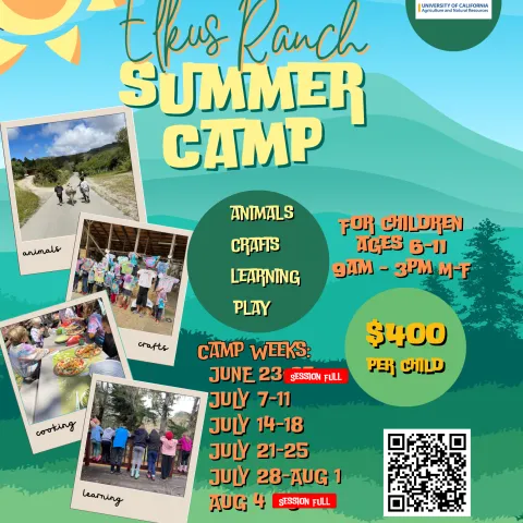 Summer camp flyer 2025