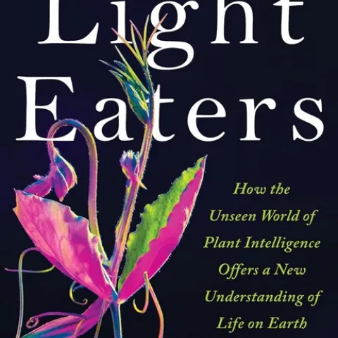 Photo of the cover of the book The Light Eaters - How the Unseen World of Plant Intelligence Offers a New Understanding of Life on Earth by Zoe Schlanger