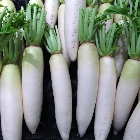 Pile of white daikon radishes