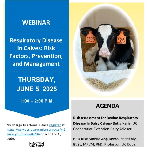 Respiratory Disease in Calves: Risk Factors, Prevention, and Management Webinar Flyer 6.5.2025