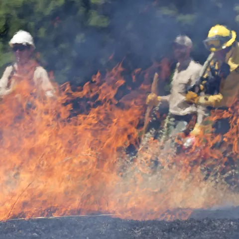 Controlled Burn Training