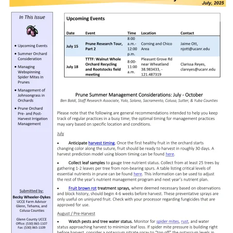 Glenn County UCCE Sacramento Valley Prune Newsletter - July 2025
