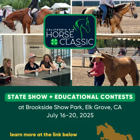 Horse Classic State show & educational contests July 16-20, 2025