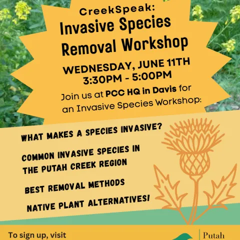 flyer of Invasive species removal workshop