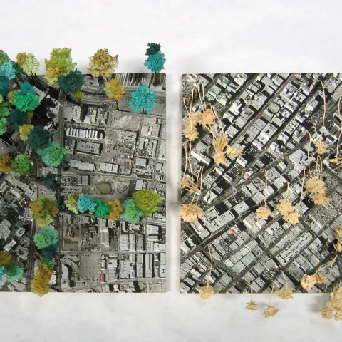 A piece of artwork by Kim Abeles of trees on a city map.