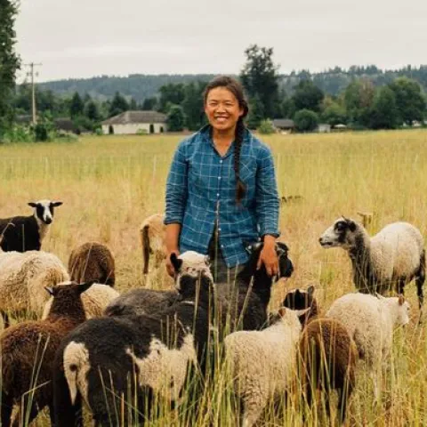 Farmer with sheep