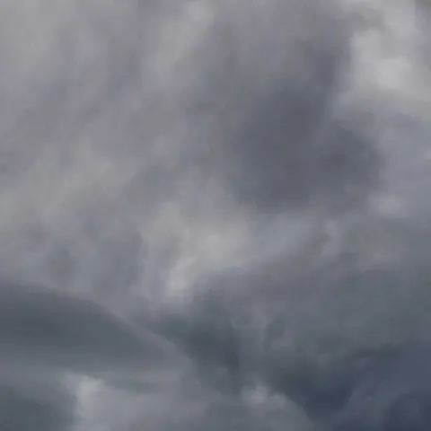 [PODCAST] Skip the June Gloom—Start Your June Bloom!