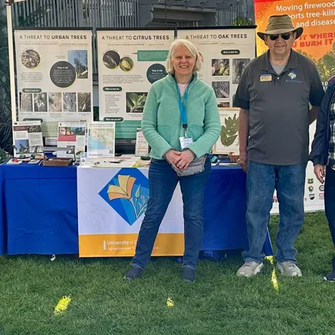 Answer Your Gardening Questions - Costa Mesa